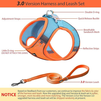AIITLE Easy Walk Dog Harness and Leash Set - Pet Supply No Pull, Step in Adjustable Dog Harness with Padded Vest, Dog Harness No Choke Over, Easy to Put on Medium Dogs Orange L