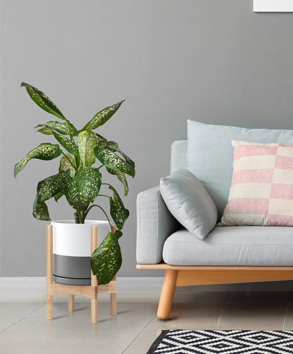 D'vine Dev Ceramic Planter with Natural Stand - 10 Inch Modern Round Flower Pot with Wood Planter Holder, White/Grey, 55-B-K-6
