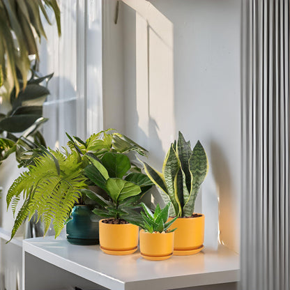 WHOMEPAA Ceramic Plant Pots with Drainage Hole and Saucer,Modern Indoor Pots for Plants,Ceramic Planter 6.7/5.3/4.3 inchs Set of 3,Indoor Flower Pot with Hole Mesh Pad, for Mom,Yellow