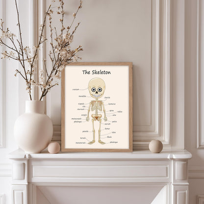 Poster Master The Skeleton Poster - Human Skeleton Print - Learning Materials Art - Science Art - Gift for Students & Teacher - Fun Decor for Classroom, Library or Nursery, 11x14 Beige Framed