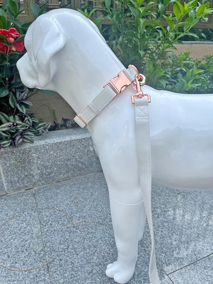 Dog Collar and Leash Set.Soft and Easy to Clean Vegan Leather with Rose Gold Metal Buckle for Small Medium Large Dogs (Off-White, L(15.4”-24.8“)
