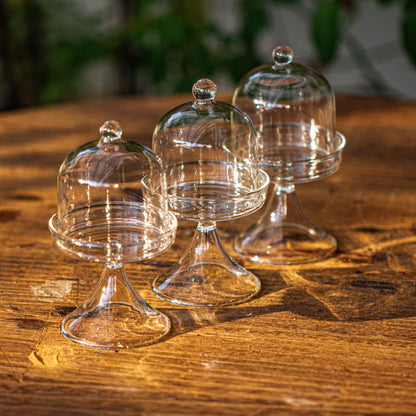 NCYP Mini Glass Bell Dome with Stand and Tiny Cube Planter for Display Jewelry, Ring, Small Plant - (3-Pack) 2.7" x 2.7" x 5" Little Cloche Set, Indoor Decor (Plants Not Included)