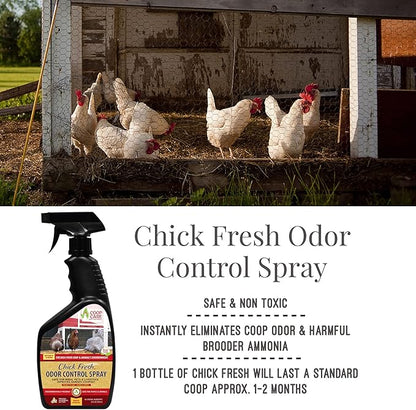 Chicken's Choice Chicken Dust Bath, 6 lb Natural Volcanic Ash Dust Bath for Chickens with Chick Fresh Odor Control and Eliminator 24 oz Spray Bottle. Made in America