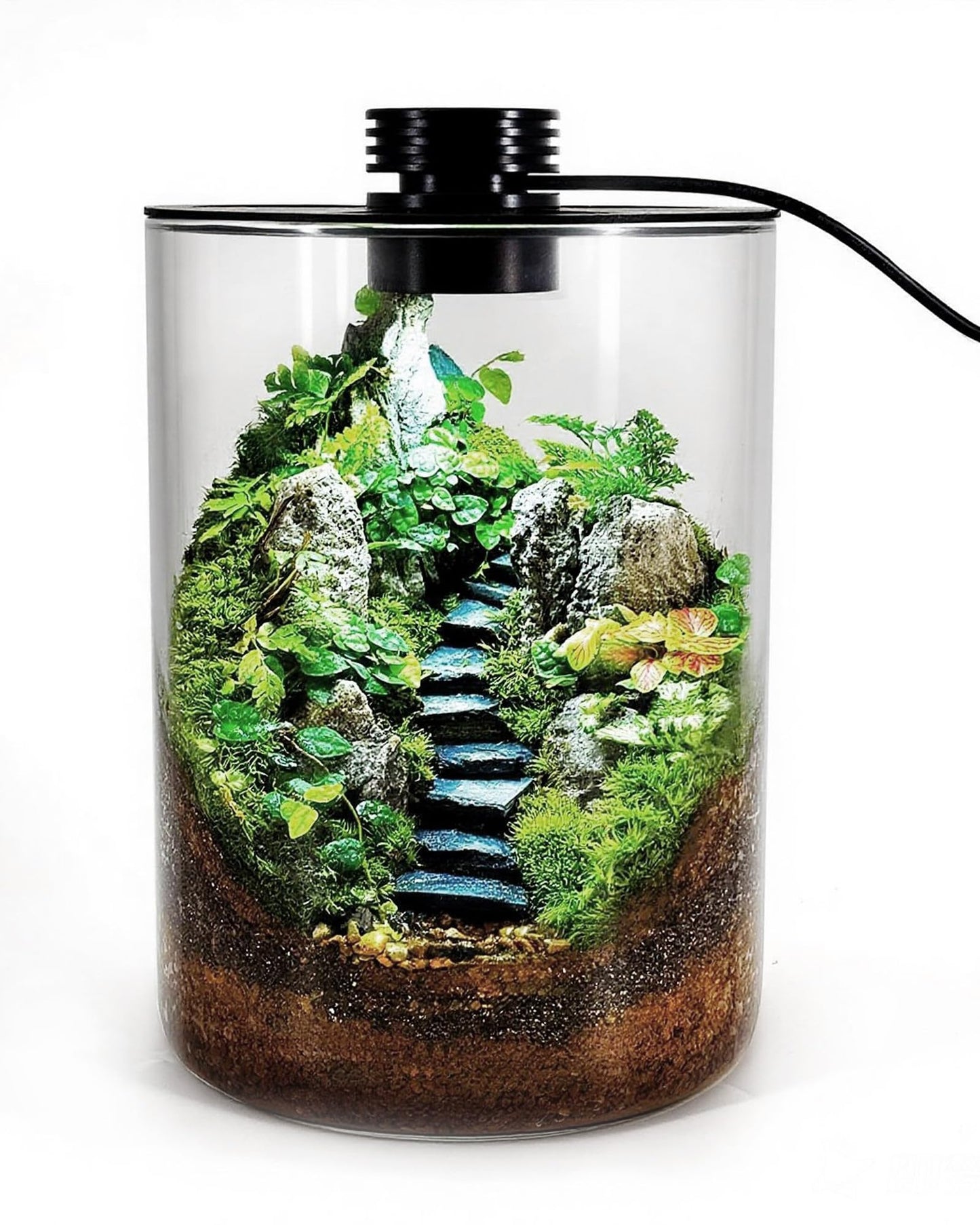 Desktop Glass Terrarium with Grow Light (7.5" H x 5.9" D) - for Succulents, Moss, Mini Gardens, Betta Fish Tanks, Mushroom Cultivation | Indoor Plant Growth | Office/Home Decor | Plant Lover Gifts
