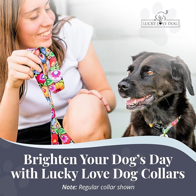 Lucky Love Dog Martingale Dog Collar & Leash - Adjustable, No-Slip, Durable, Comfortable, Soft Webbing, & Stylish Patterned Collar & Leash Set for Male and Female Dogs - Blackbird Combo, Medium