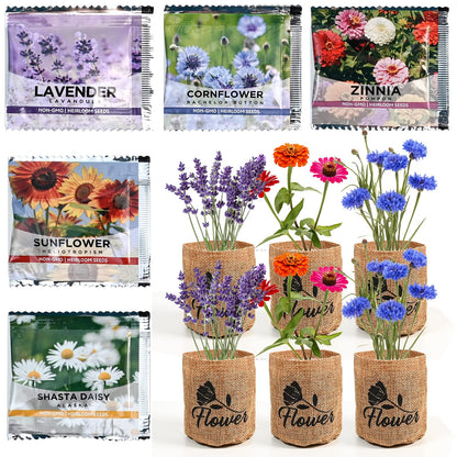 Indoor Daisy Garden Starter Kit with Gardening Tools - Planter Bags, Markers, Soil Disks and Shears, Home Gardening Gifts for Women Men Plant Lovers