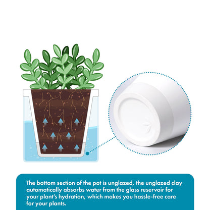 D'vine Dev 4 Inch Design Self Watering Planter for Indoor Plants, White Terracotta Pots with Cylinder Glass Cup, Set of 2, 37-Y-A-2