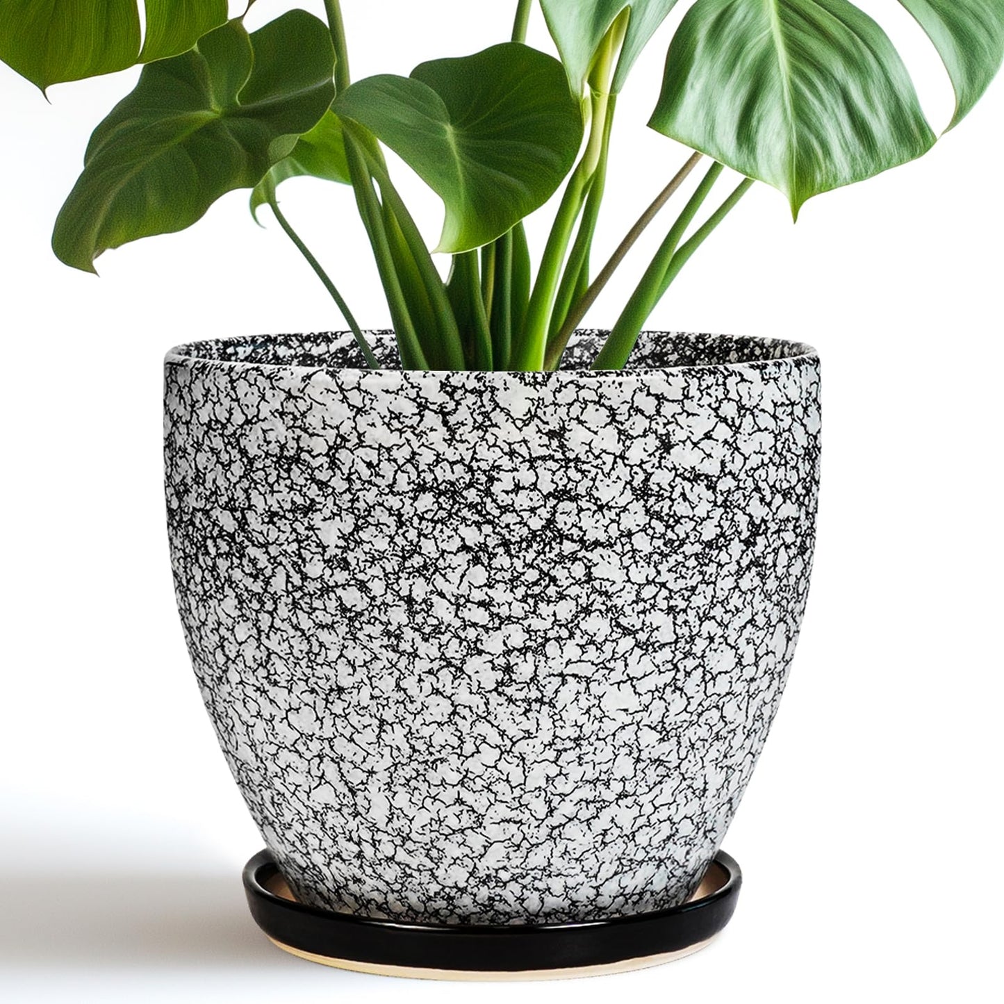 EPFamily Ceraimc Plant Pot - 8 Inch Planter with Drainage and Saucer, Modern Round Planter, Flower Pot for Indoor Outdoor Plants, Home Room Garden Apartment Decor, Gifts for Plant Lovers, White-Black