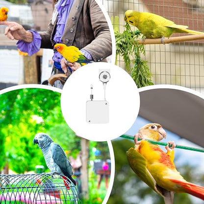 Bird Flying Harness - Parrot Rope, Comfortable Foot Loop, Strong Elastic Lead | Secure Outdoor Leashes for Conure Cockatoo Budgies Parakeet Macaw Parrotlet Daily Flying Training Walking Adventure