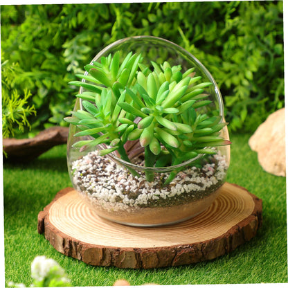 MOTHNUR Micro Landscape Ecological Bottle Transparent Glass Terrarium for Succulent Plants Elegant Decor Durable Eco-Friendly Design Nature Lovers