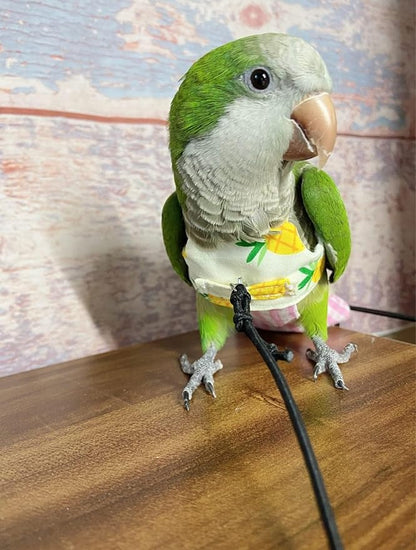 Bird Flight Harness Vest, Parrot Suit for Cockatiels Conures Budgies, Flying Clothes Rope and Handle Outdoor Activities Training