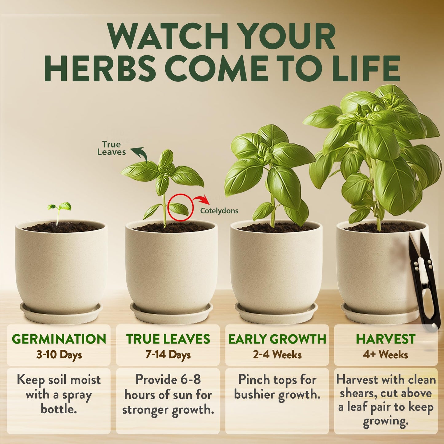 HOME GROWN Indoor Organic Herb Garden Kit, Unique Valentines Day Gift for Adults, Men, & Women,Grow 4 Herb Seeds for Kitchen Window Garden,Beginner DIY Hobby Gardening for Plant Lovers, Mom & Dad