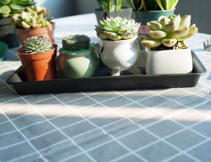 Vuwez Plant Saucer Tray, Heavy Sturdy Long Narrow Plastic Plant Saucers Drainage Trays for Indoors No Holes, Plant Drip Trays for Pots Base, Seed Starter Growing Tray (6.5 X 13 inch, Black)