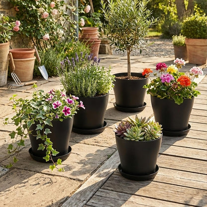 BTPLASTIK 6 Pack 8inch Plastic Round Plant Pot with Drainage Holes & Saucer, Durable 8" Black Nursery Pots Flower Pots for Indoor/Outdoor Plants, Minimalist Curved Design for Succulents, Herbs, Cacti