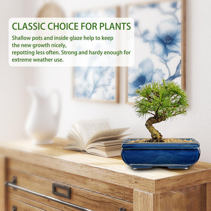 Villa Como Succulent Planters Bonsai Pots for Live Bonsaii Trees Set of 2, 8.7" Large Ceramic Shallow Pot for Succulents Indoor with Drainage Hole, Outdoor Cactus Plant Bonsai Pots, Ceramic Flower Pot