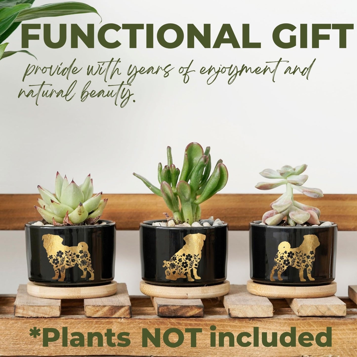 InnoBeta Pug Gifts Succulent Plant Pots 3pcs, Gifts for Pug Lovers, Planter Pot with Bamboo Tray, Plants NOT Included, Cute Ceramic Pots for Birthday, Christmas