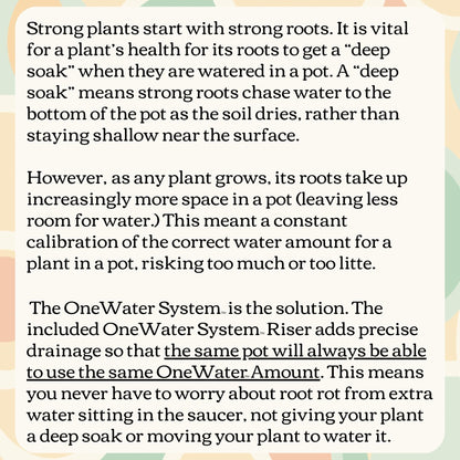 Ceramic Plant Pot and Saucer with OneWater System (5.25" Inches, Cylinder White)