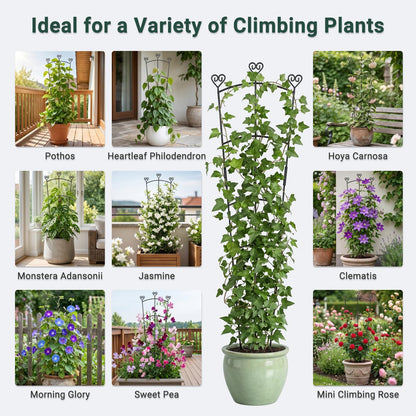 46.6" Tall Plant Trellis for Climbing Plants Indoor Outdoor, Durable Metal Trellis for Potted Plants, Adjustable Climbing Plant Support for Vines, Clematis, Morning Glories, Ivy, Black, 2 Pack