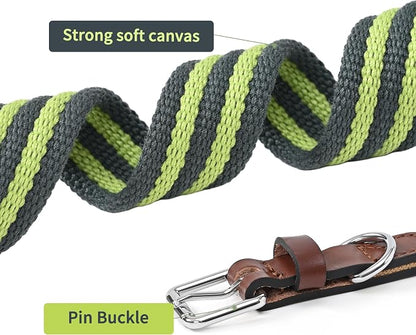 Mile High Life Genuine Leather Dog Collar, Heavy Duty Canvas Collar with Adjustable Metal Pin Buckle for Small Medium Large Dogs (Lime Green, M Neck 15"-18")
