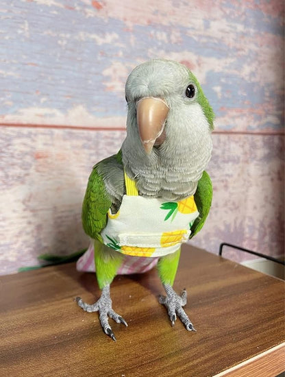 Bird Flight Harness Vest, Parrot Suit for Cockatiels Conures Budgies, Flying Clothes Rope and Handle Outdoor Activities Training