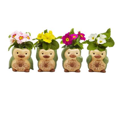 Bird/ Penguin Mini Succulent Pots, 3.6x3.5x2.3,Ceramic Animal Succulent planters,Cute Set- 4 small Flower pots,Cactus Animal Planter, Indoor/ outdoor Plant Pot,Funny Planters with Drainage Hole