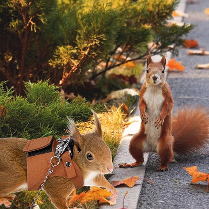 3 Pack Squirrel Harness and Leash Set - Adjustable Soft Leather & Traction Rope Strap Anti-Biting Chainfor Small Pet Walk Jogging Bearded Dragon Reptile Squirrel Rat