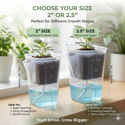 12 Pack 2" Clear Self Watering Pots with Wick System, Water Level Indicator & Drainage Hole, Consistent Moisture for Seedlings, Cuttings, Alocasia Corm & African Violet, 12 Plant Labels Included