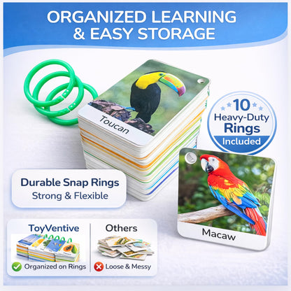 250 Flash Cards for Toddlers 1-3 with Rings, Toddler Flashcards with ABC Flash Cards Included, Improve Talking Flash Cards, Toddler Flash Cards 1-2