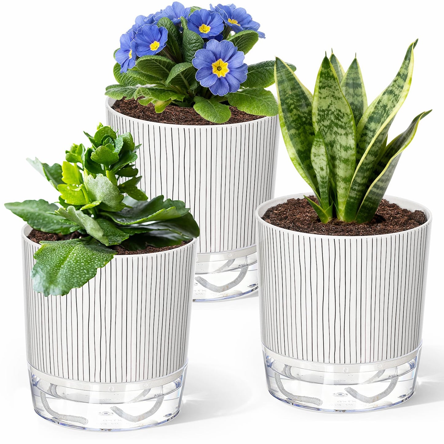 CWYEYE 3 Pack Self Watering Pots Set, 5.5 Inch Self Watering Pots for Indoor Plants, Planter Pot with Wick Rope and Reservoir for African Violet, Spider Plant, Orchid