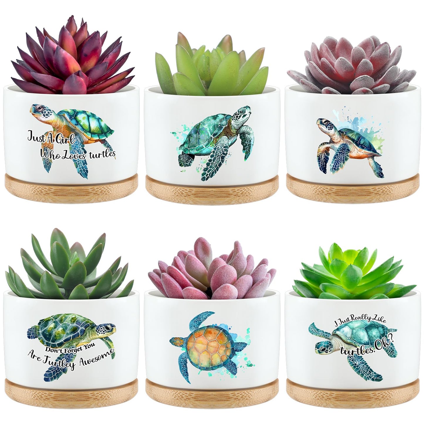 Teenyyou 6 Pcs Sea Turtle Decor Gifts Planters for Women Turtle Ceramic Succulent Pots with Bamboo Tray for Bathroom Office Home Indoor Ocean Themed Decorations Employee Appreciation (No Succulent)
