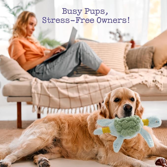 Fuzzwoof Squeaky Dog Toy, New 2025 Turtle Tug of War Crinkle Dog Toy, Tough Large Breed Interactive Stuffed Toy Trianing Fun to Keep Them Busy