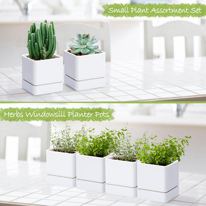 D'vine Dev 4 Inch Herb Planter Pot, Plastic Planter with Drainage Holes and Saucer, Modern Decorative Gardening Pot for Indoor Plants, Flowers, Herbs, Succulents, White, Set of 4, 76-Y-A4-1