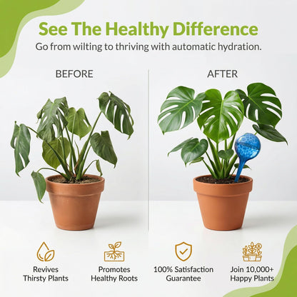 Little Green Leaf Automatic Plant Watering Globes Self Watering Planter Inserts (Set of 4) | Hands Free Multicolor Glass Bulbs | Planter Spikes to Support Indoor & Outdoor Plant Health (100ml)
