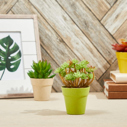 Juvale Mini Plastic Plant Pots - Drainage Hole for Flower Pots - Sturdy Planter for Indoor Plants - Pack of 24, 2.5 x 2.3 in, Multicolor