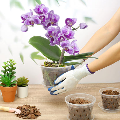 YOPIKUU Orchid Pot,3 4 5 6 Inch 8 Pack Orchid Pots with Holes and Saucers,Clear Plastic Flower Plant Pot for Indoor Outdoor Plants,Slotted Orchids Planter(3 4 5 6Inch)