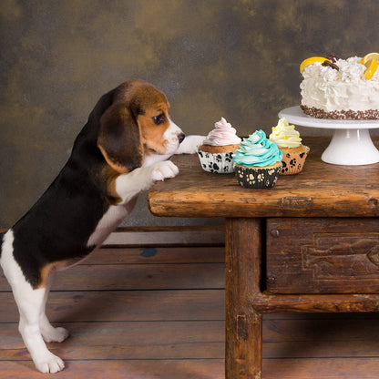 600 Piece Paw Bone Print Cupcake Liners Puppy Dog Theme Cupcake Holders Nonstick Baking Cups Paper Muffin Cakes for Birthday Wedding Animal Favor