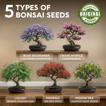 AVERGO Bonsai Tree Kit Classic - 5X Unique Japanese Bonzai Trees | Complete Indoor Bonsai Starter Kits for Growing Trees – DIY Gardening Gifts for Mother, Women & Men