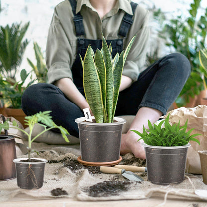 VOKOY 40 Pack 5/4/3/2.75 Inch Clear Nursery Pots with 40 Plant Labels, Clear Plant Pots with Drainage Hole Plastic Transparent Variety Pack Garden Flower Seedling Pot Small Planter Containers