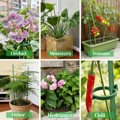 Plant Sticks Support Tall, 56Pcs Extendable Plants Stakes, Sturdy Monstera Plant Support, Natural Stakes for Indoor Plants Begonia Orchid Tomato