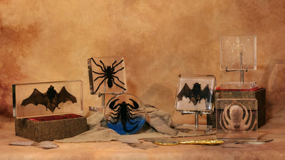 Taxidermy Bat, Real Bat Specimens Animal Specimen in Resin with Acrylic Base Display Stand for Science Classroom Science Education.Gothic Gift for Fans of Taxidermy, Animal Skull, Oddities, Biology