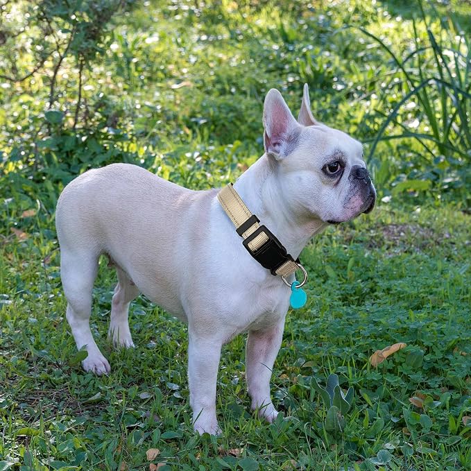 Ladoogo Reflective Dog Collar Padded with Soft Neoprene Breathable Adjustable Nylon Dog Collars for Small Medium Large Dogs (Medium (Pack of 1), Vanilla Collar+Leash)