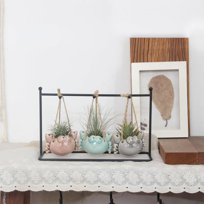 Gniliny 8 Pack Ceramic Air Plant Cradle with Rack: Indoor/Outdoor Hanging Planters - Air Plant Display Container for Home Office Garden