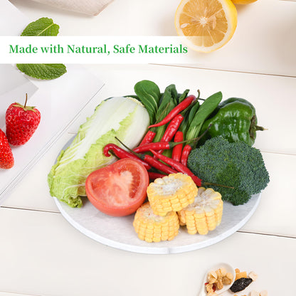FMTYAOIU 2 PCS Plant Saucer Flower Pot Saucers, Absorbent and Quick-Drying Plant Coasters, Diatomaceous Earth Round Plant Drip Trays for Keeping Counter and Floors Dry and Clean,Gray (2PCS Medium 8")