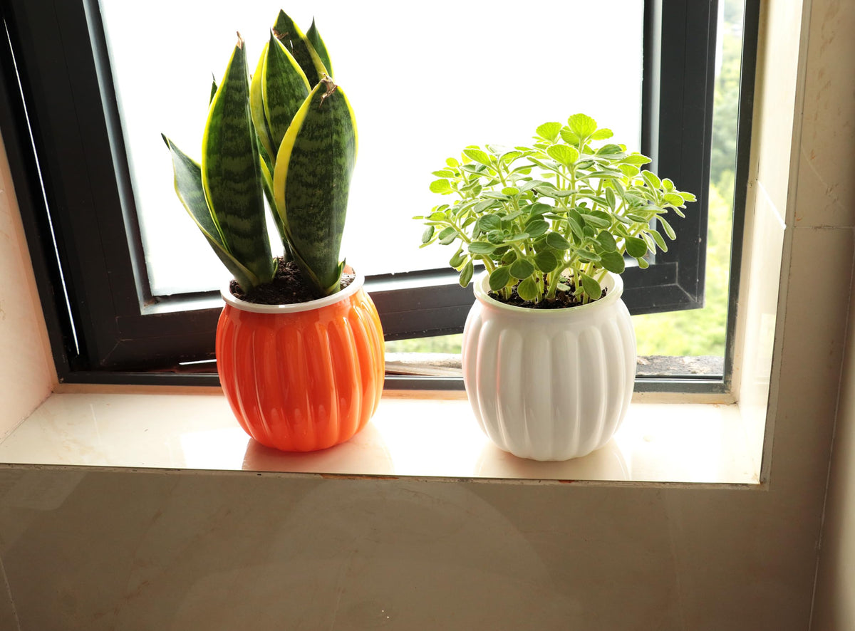 Cornasee 4" Pumpkin Planter Self Watering Pot, 4-Pack Small Plastic Planters for Indoor Plants,Flowers,Succulent,African Violets (White, 4")
