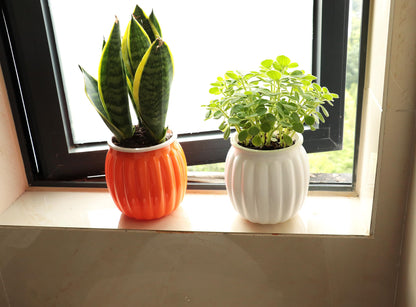 Cornasee 4" Pumpkin Planter Self Watering Pot, 4-Pack Small Plastic Planters for Indoor Plants,Flowers,Succulent,African Violets (White, 4")