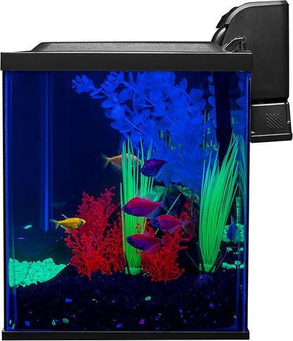 Glofish 10 Gallon Aquarium Fish Tank Kits, Includes LED Lighting and Décor (Amazon Exclusive)