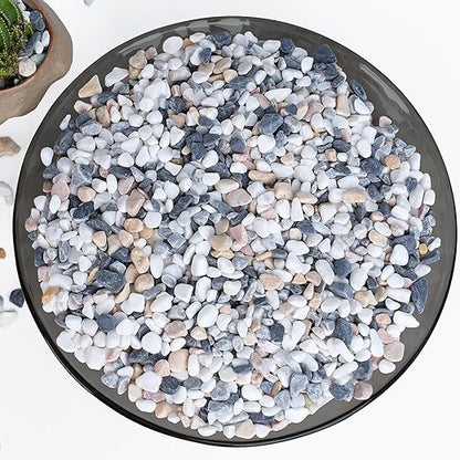 2.5 lbs Small Rocks for Succulents, 1/5 Inch Pebbles for Indoor Plants, Decorative Pea Gravel for Terrarium, Vases, Aquariums, Fish Tank, Drainage Rocks for Potted Plants, Bamboo,Crafts, Cactus
