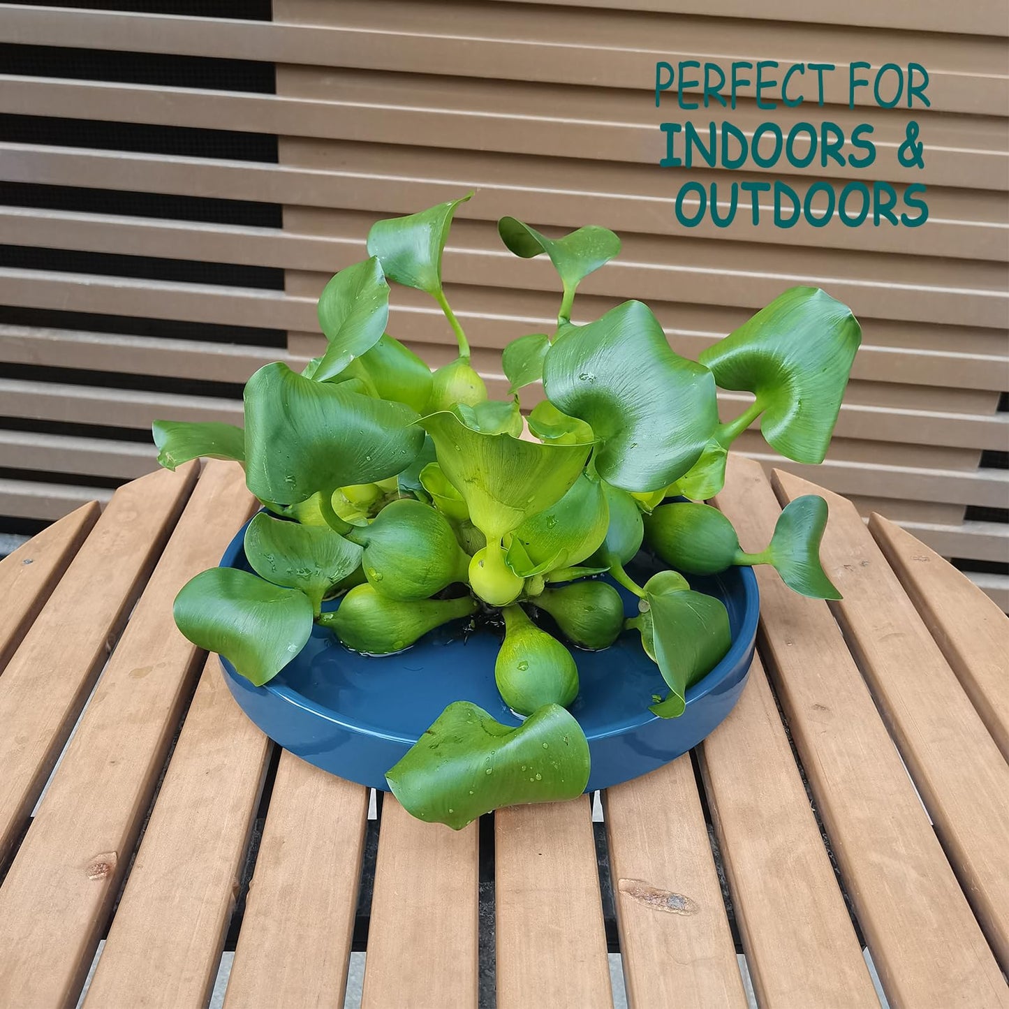 Fzfeiyy Ceramic Plant Saucer Pot Tray 10 Inch, Blue Planter Saucers 5 7 9 10 12 Inch for Indoors Outdoor, Flower Pot Saucers for Holding Water Drips and Soil