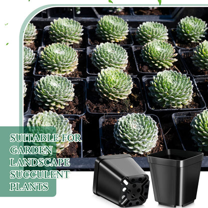 Yinder 500 Pcs 2.7 Inch Black Square Plastic Nursery Pots, Modern Plant Starter Pots, Drainage Hole, Ideal for Indoor Outdoor Flowers, Succulents, Herbs