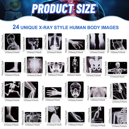 4 Strings X-Ray Skeleton Banner Decorations, Pre-Strung Medical Radiology Anatomy Garland with 24 X-Ray Body Part Images for Doctor Nurse Graduation, Halloween Party, Clinic Classroom Science Décor